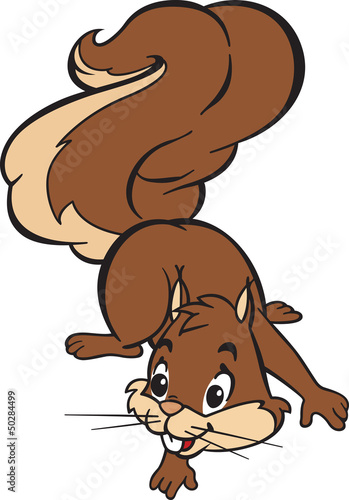 Friendly Squirell