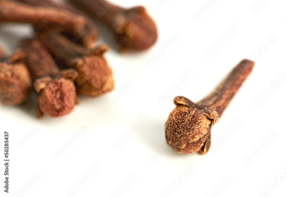 cloves against white background cloves against white background