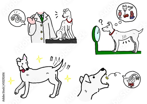 犬の寄生虫の駆除