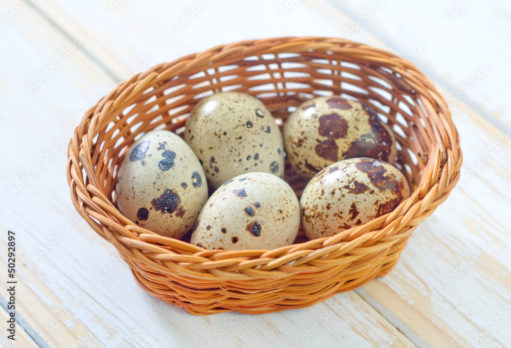 quail eggs quail eggs