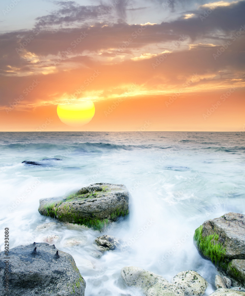 Fototapeta premium sea coast