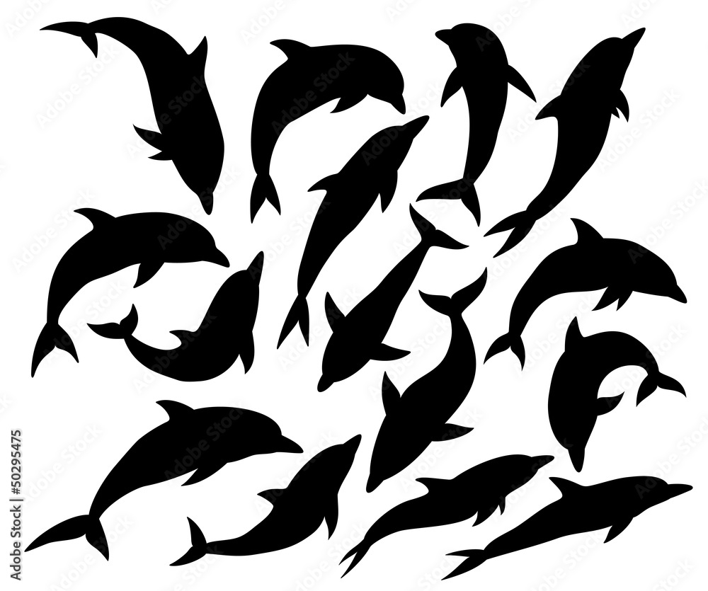 Naklejka premium Dolphins