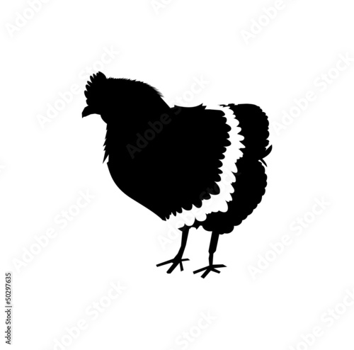 black hen