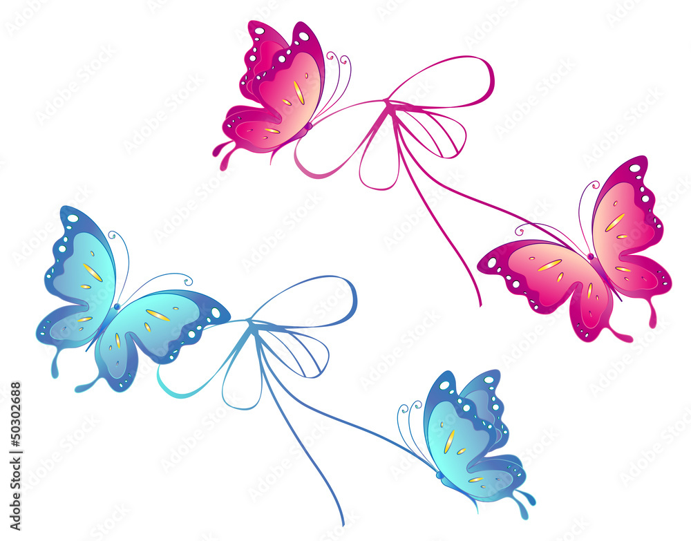 butterfly,butterflies vector