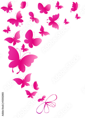 butterfly,butterflies vector #50302883