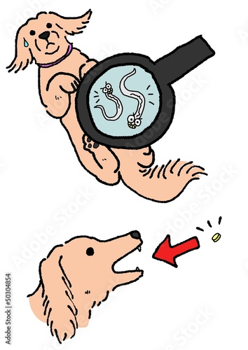 犬の寄生虫の駆除