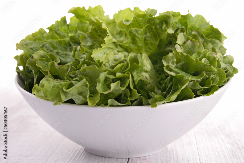 bowl of lettuce bowl of lettuce