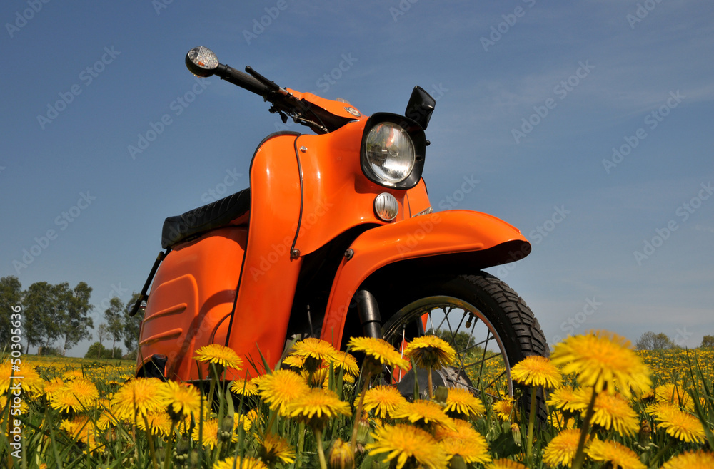 Fototapeta premium Moped