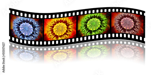 filstreifen mit spiegelung und neonfarbenen mohnblüten