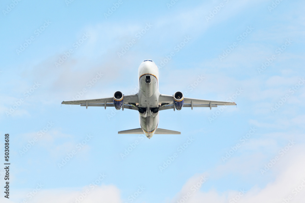 Airbus in sky