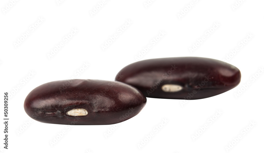 red kidney beans isolated red kidney beans isolated
