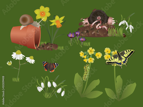 Garden animals