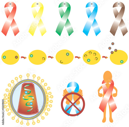Immunodeficiency virus. Virus Replication