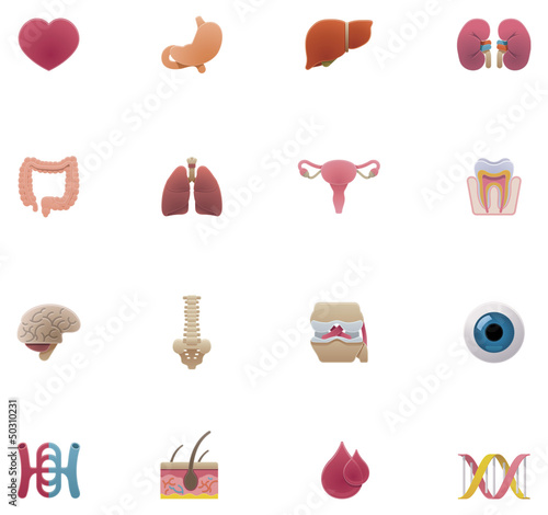 Vector anatomy icon set