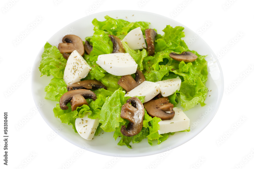 salad mushrooms with mozzarella on the plate on white background salad mushrooms with mozzarella on the plate on white background