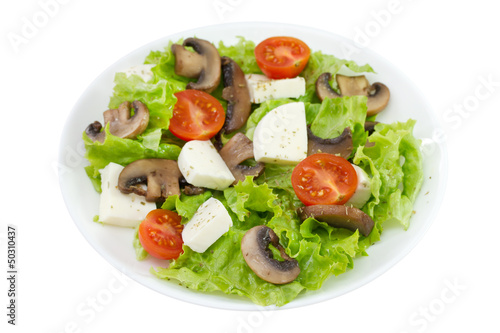 salad mushrooms with mozzarella and tomato