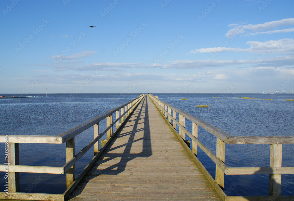 Obraz premium Steg ins Meer