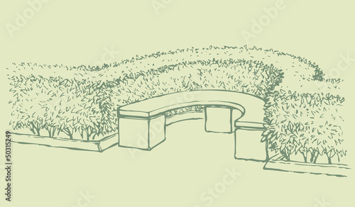 Vector landscape. Park bench with a hedge of shrubs trimmed