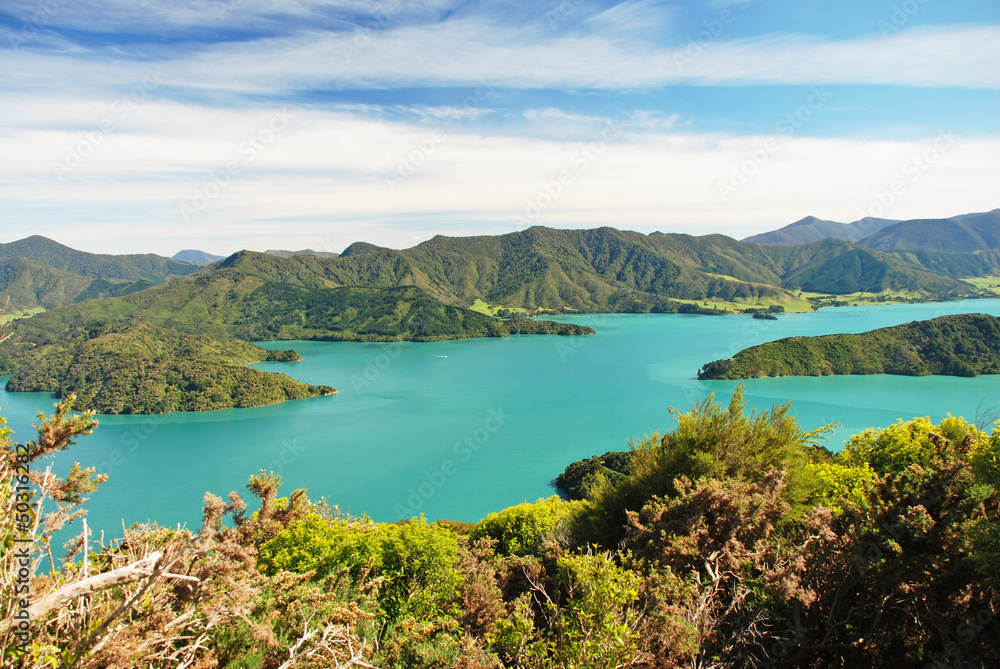The Marlborough Sounds, South Island of New Zealand The Marlborough Sounds, South Island of New Zealand