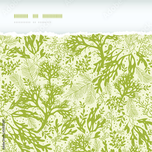 Vector green underwater seaweed horizontal torn seamless pattern