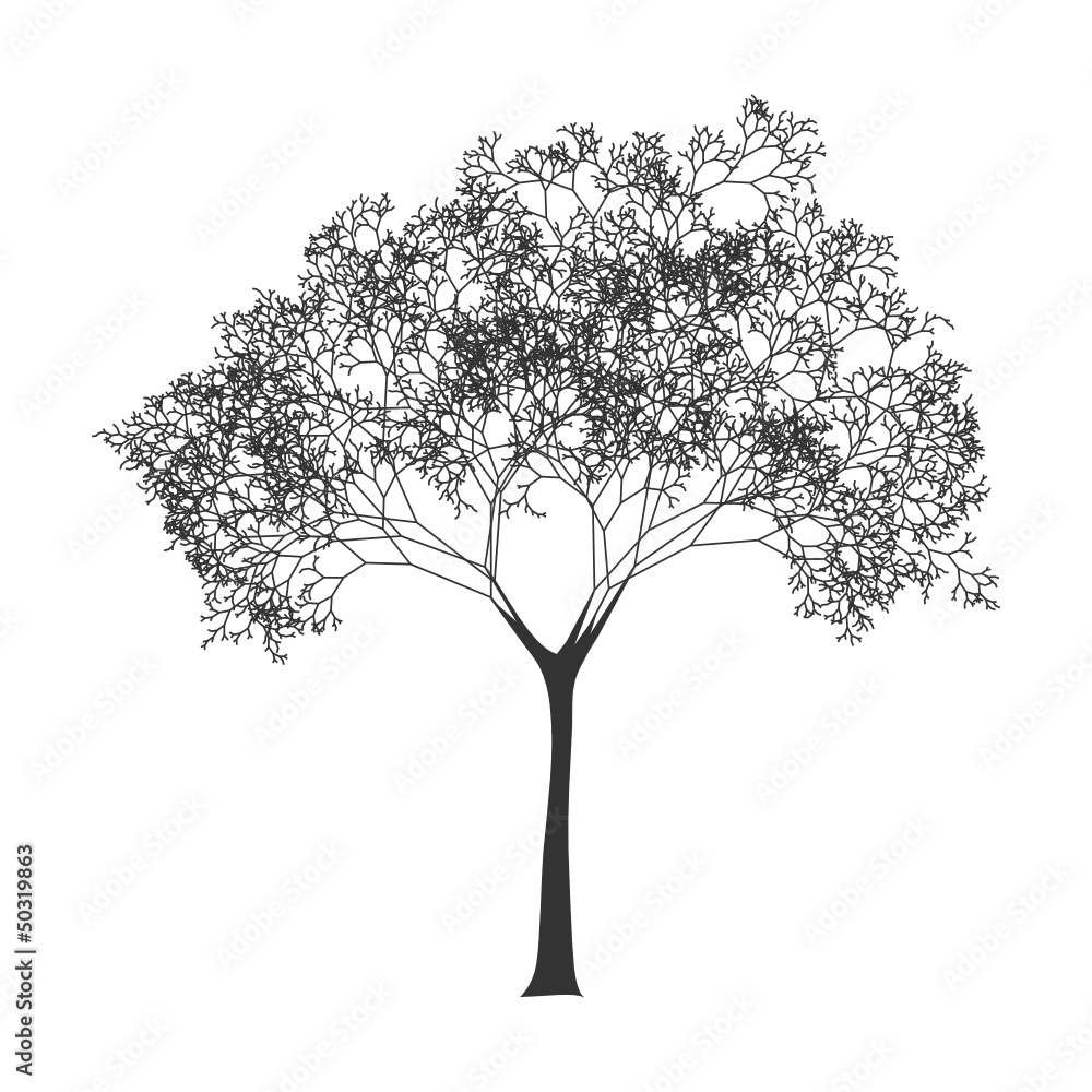 Obraz premium tree