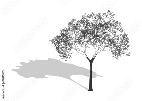 tree