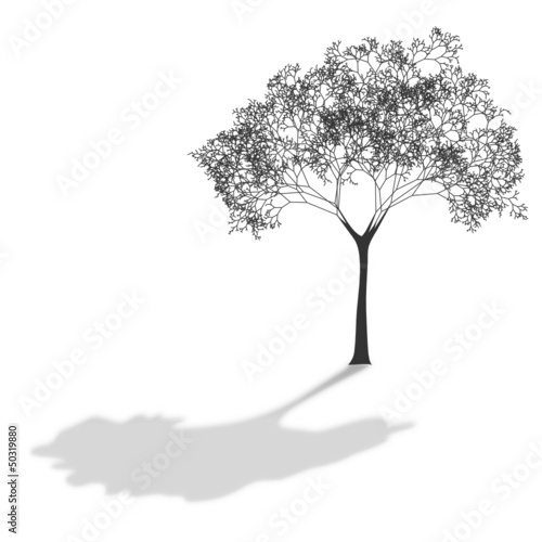 tree