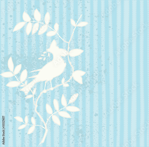 Bird background