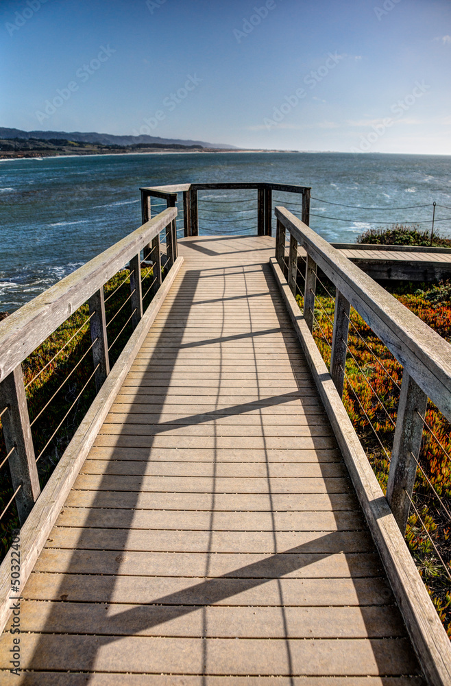 Naklejka premium Coastal Pathway