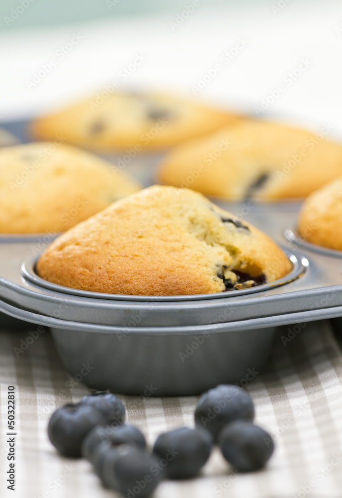Fototapeta premium Blueberry Muffins