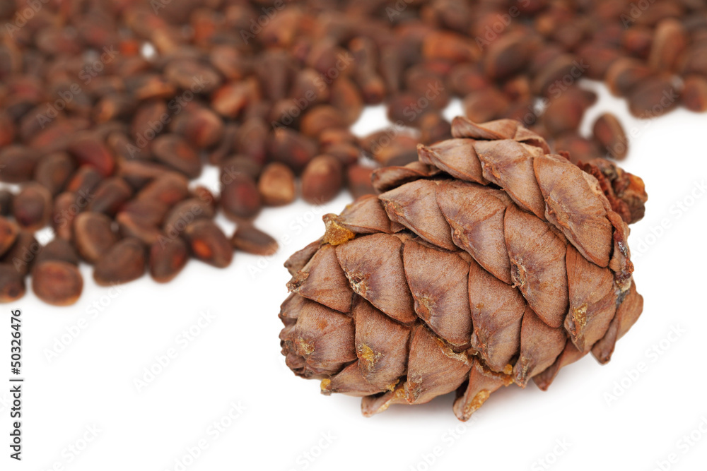 Cedar cone and nuts on white background Cedar cone and nuts on white background