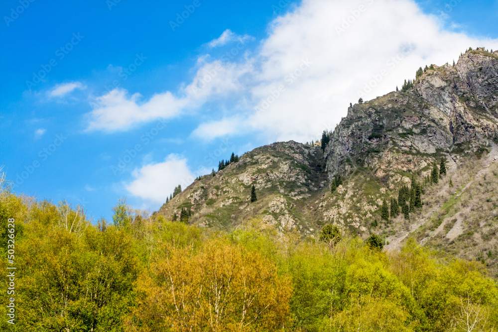 panorama of the nature of the gorge in Almaty, Kazakhstan