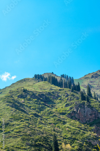 Nature of the fir and green mountains and blue sky in Almaty