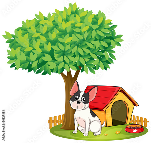 A doghouse and a dog under a tree