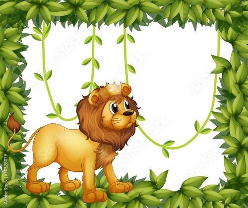 A king lion in a leafy frame