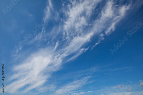 Fototapeta Naklejka Na Ścianę i Meble -  White clouds