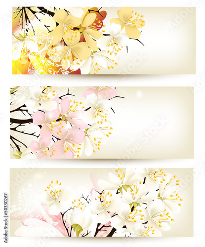 Collection of flower vector backgrounds