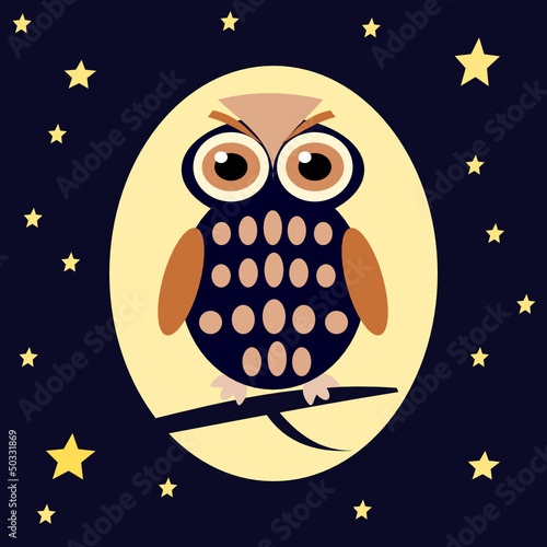 Gufo nella notte