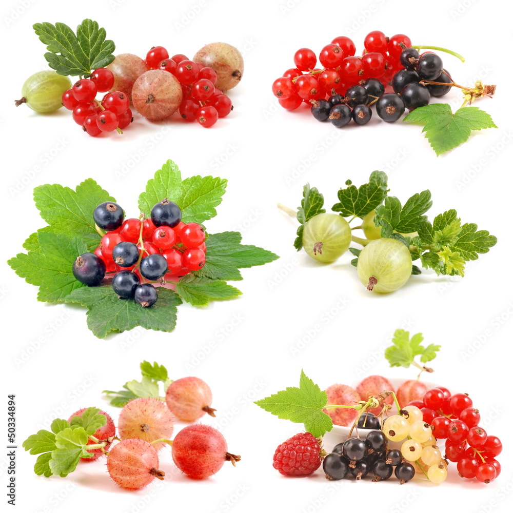 Beeren kollektion Beeren kollektion