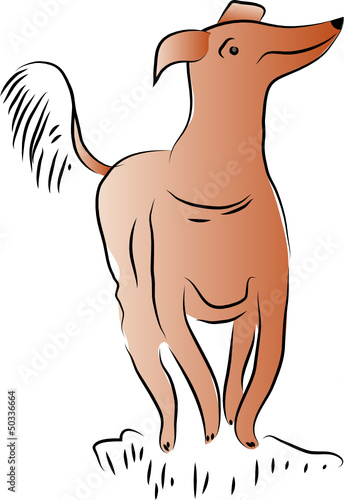 Aufgeweckter Hund