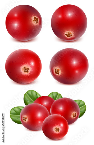 Ripe red cranberries with leaves