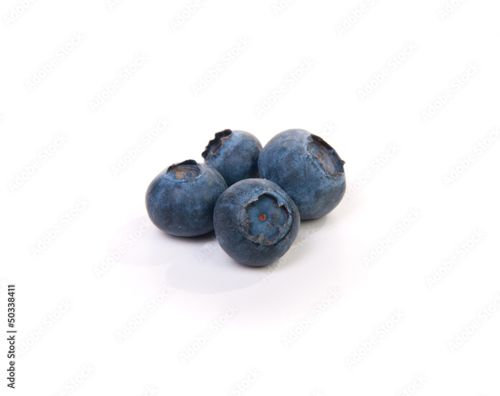 blueberry blueberry