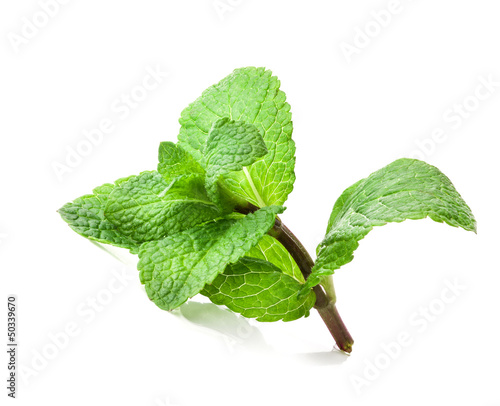 Картината върху платно Fresh mint isolated on a white background