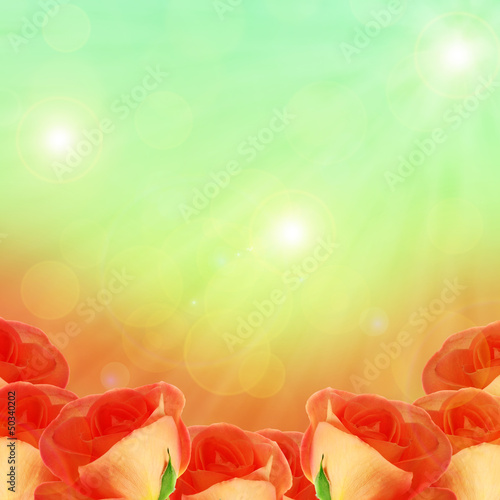 Rozes on the blured background