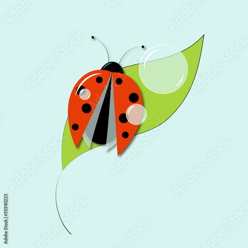 vector illustration of ladybug on green leaf