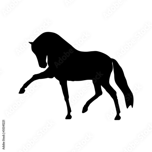 Horse Silhouette