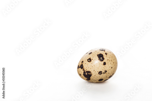 Uovo di quaglia fresco su sfondo bianco