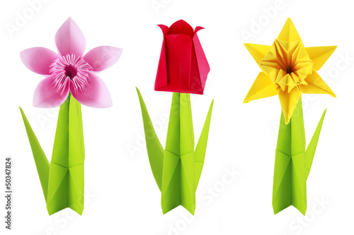 Origami flowers set
