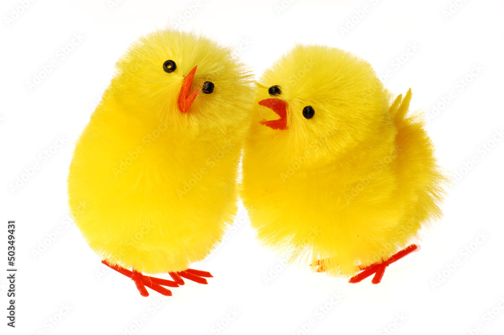 Two Easter Chicken communicating