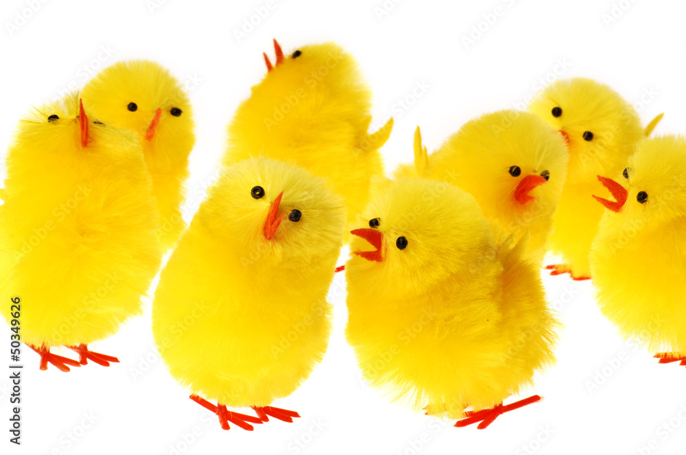 Group Of Easter Chicken
